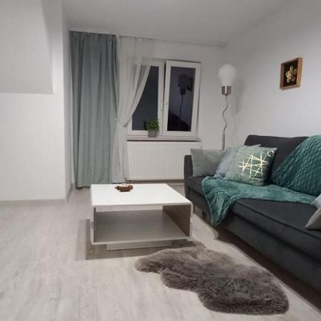 City View Kanonierska - Przy Parku Blisko Centrum Świdnica Exteriér fotografie